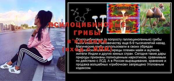 бошки Богородск