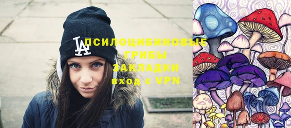 бошки Богородск